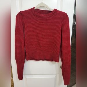 Small Time and Tru Red Sweater